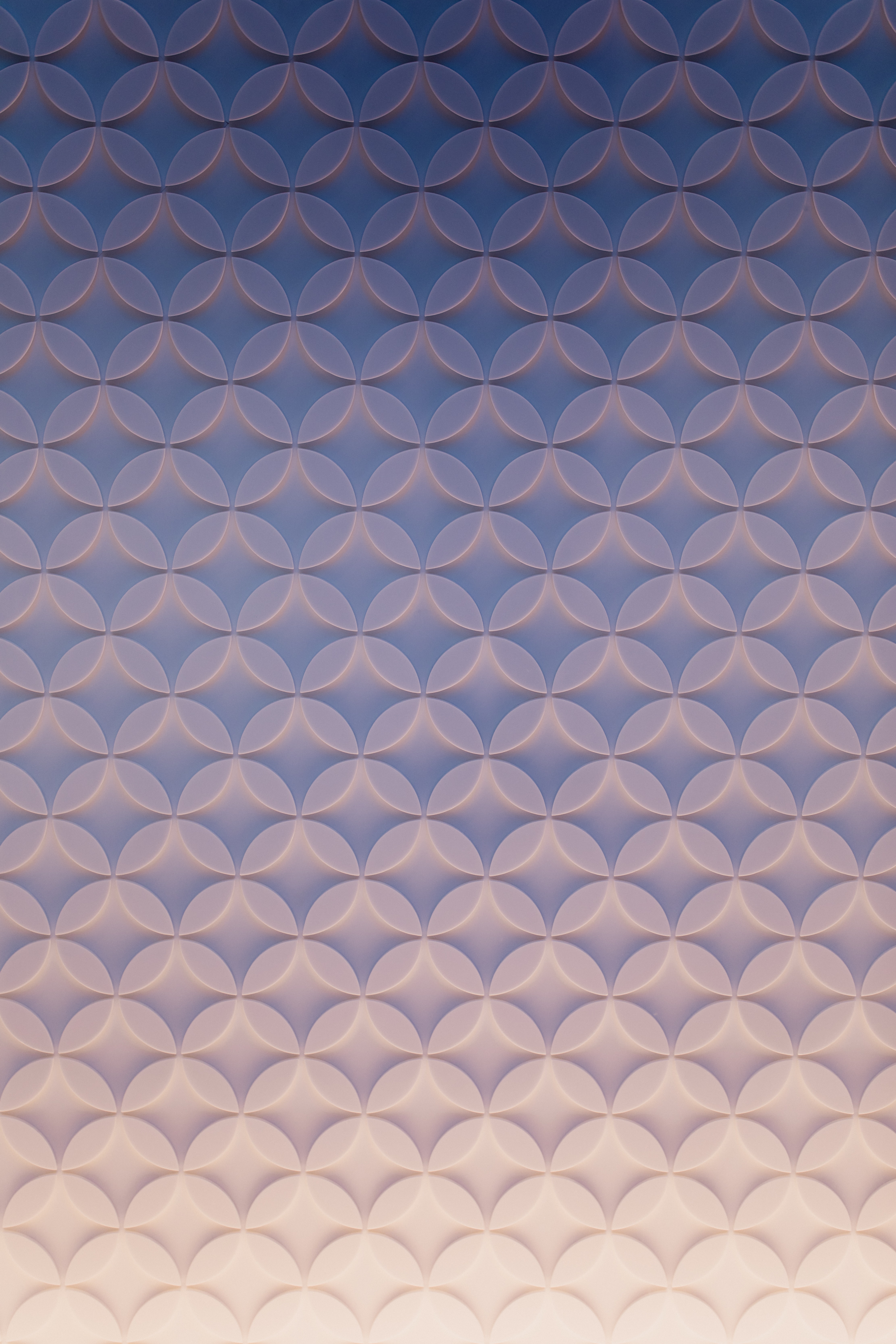 jason-leung-UMncYEfO9-U-unsplash
